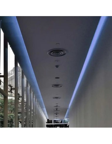 Strip LED SMD3528 5W/m 5m 60 LED/m Blu 12V IP65 8 8mm-prodotto in ambiente