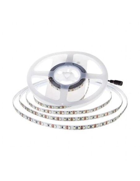 Strip LED SMD2835 12W/m 5m 168 LED/m 140LM/W 24V 3000K IP20 10mm-prodotto