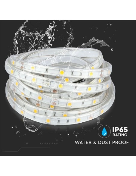 Strip LED SMD5050 4 8W/m 5m 30 LED/m 12V 6400K IP65 10mm-preview 2054