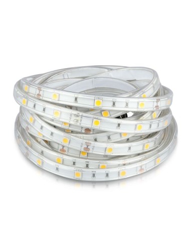 Strip LED SMD5050 4 8W/m 5m 30 LED/m 12V 6400K IP65 10mm-preview 2056