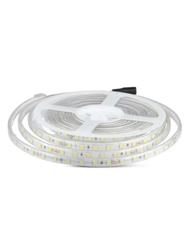 Strip LED SMD5050 10W/m 5m 60 LED/m 24V 4000K IP65 11.4mm-prodotto