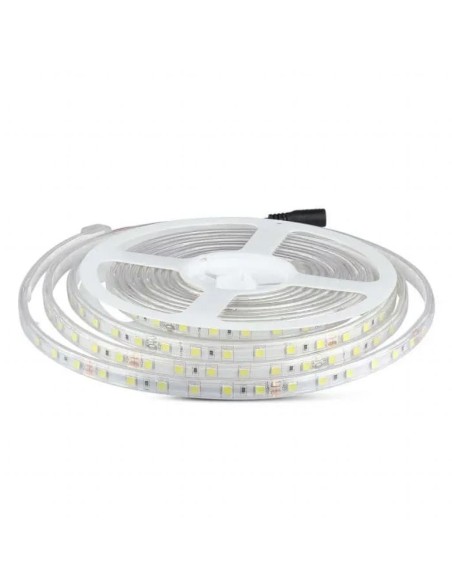 Strip LED SMD5050 10W/m 5m 60 LED/m 24V 4000K IP65 11.4mm-prodotto