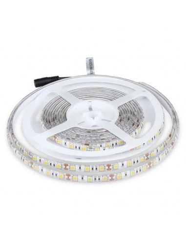 Strip LED SMD5050 11W/m 5m 60 LED/m 12V 3000K IP65 10mm-prodotto