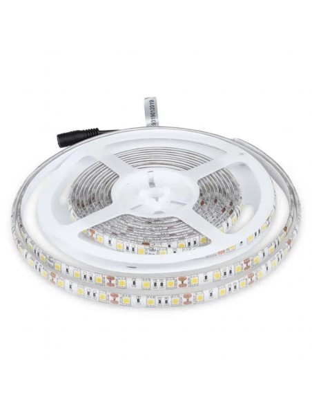 Strip LED SMD5050 11W/m 5m 60 LED/m 12V 3000K IP65 10mm-prodotto