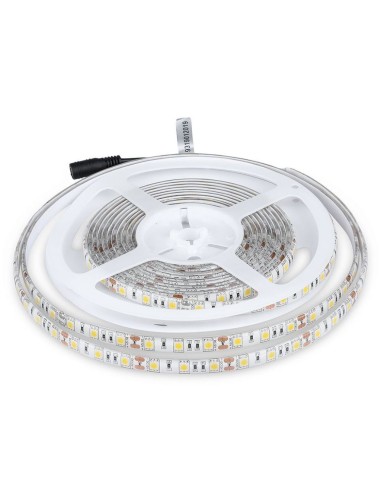 Strip LED SMD5050 11W/m 5m 60 LED/m 12V 4000K IP65 10mm-prodotto