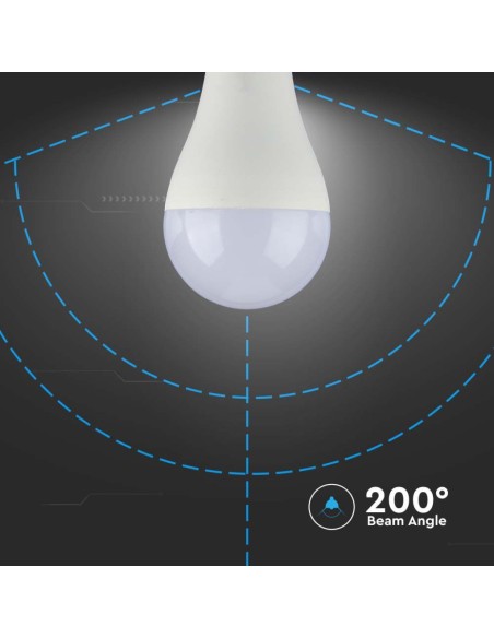 Lampadina LED E27 15W A65 6400K-preview 6706