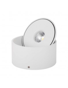 Downlight LED COB da superficie 20W 3IN1 Corpo bianco