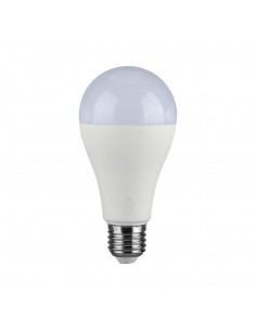 Lampadina LED - SAMSUNG CHIP 17W E27 A65 Plastica 6400K
