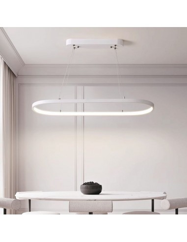 10056-Lampadario LED a Sospensione  in Metallo Colore Bianco  -5