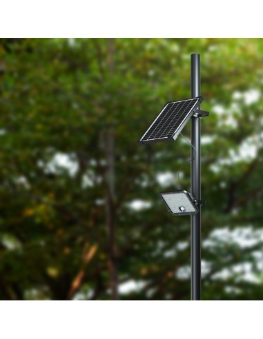 10311-Faro LED con Telecomando e Pannello Solare  Colore Nero -5
