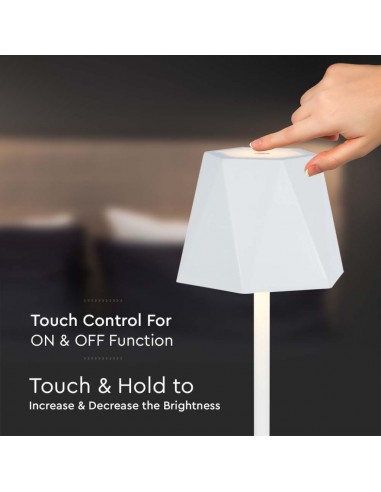 10324-Lampada LED da Tavolo  xmm Colore Bianco ricaricabile con USB C Touch Dimmerabile in-7