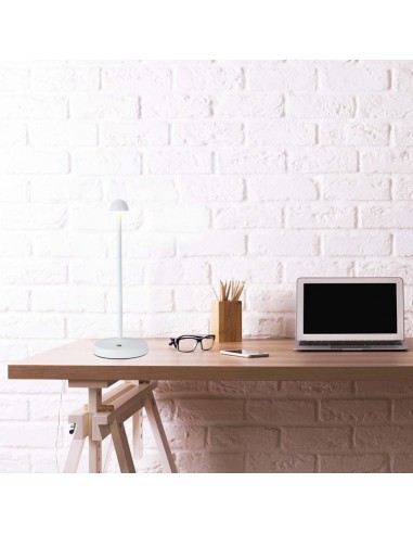 10329-Lampada LED da Tavolo   Colore Bianco ricaricabile con USB C Touch Dimmerabile in-5