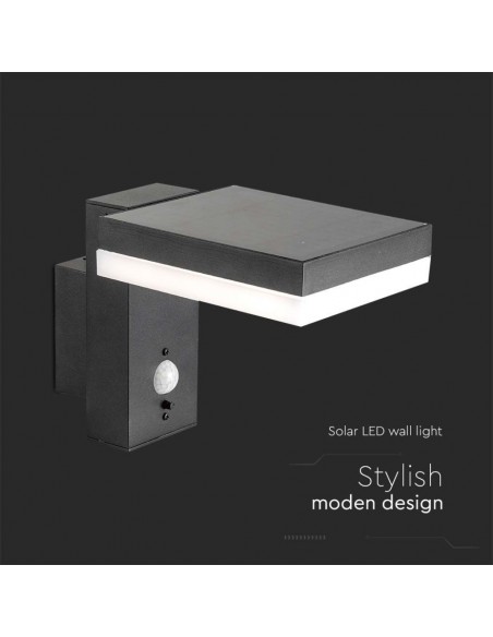 10402-Lampada LED da Muro Rettangolare  con Pannello Solare e Sensore PIR Corpo Nero  IP-5