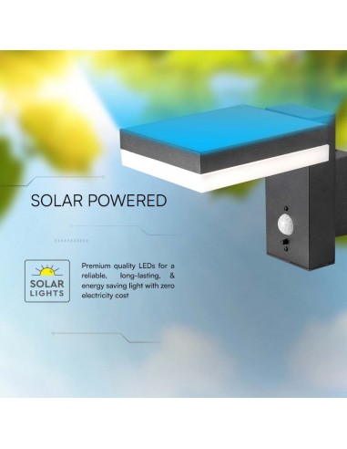 10402-Lampada LED da Muro Rettangolare  con Pannello Solare e Sensore PIR Corpo Nero  IP-7