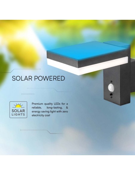 10402-Lampada LED da Muro Rettangolare  con Pannello Solare e Sensore PIR Corpo Nero  IP-7