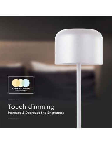 10449-Lampada LED da Tavolo  con Batteria mAh Ricaricabile USB C Colore Bianco in Metallo Touch Dimmerabile Bianco caldo  Bianco
