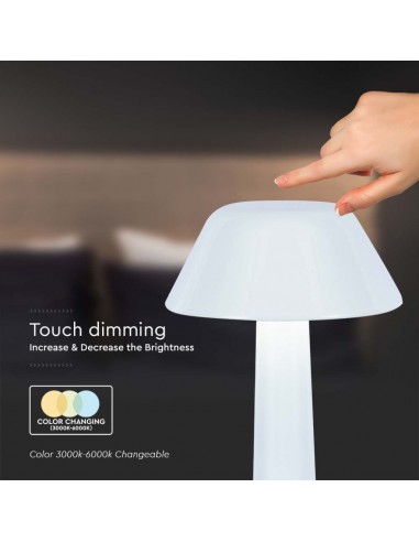 10569-Lampada LED da Tavolo  Colore Bianco ricaricabile con USB C Touch Dimmerabile in-7