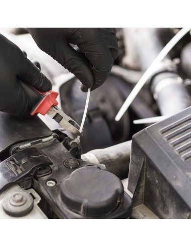 11159-Fascetta per Cavi xmm Colore Bianco Confezione  pezzi-5