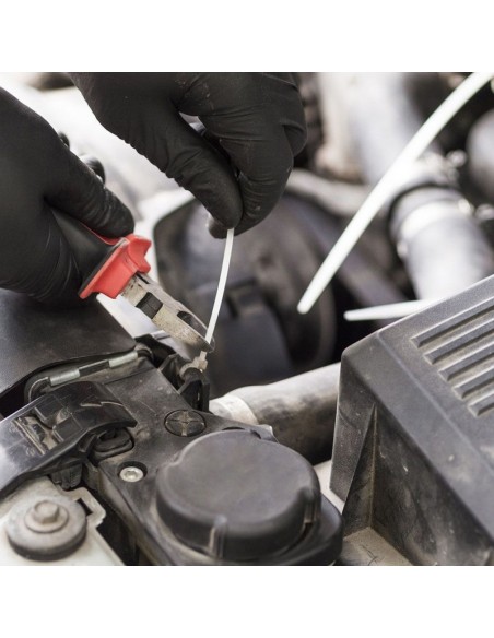 11175-Fascetta per Cavi xmm Colore Bianco Confezione  pezzi-5