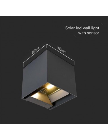 11885-Lampada LED da Giardino con Pannello solare e Sensore  Colore Nero   -3