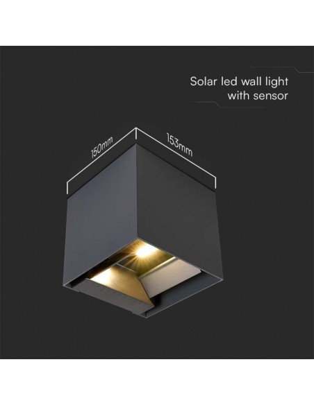 11885-Lampada LED da Giardino con Pannello solare e Sensore  Colore Nero   -3