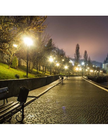 20433-Armatura Stradale LED Chip Samsung  con Sensore Colore Grigio  -5