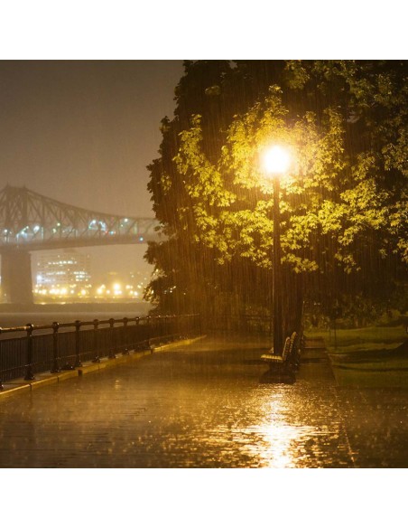 20437-Armatura Stradale LED Chip Samsung  LM/W con Sensore Colore Grigio  -4