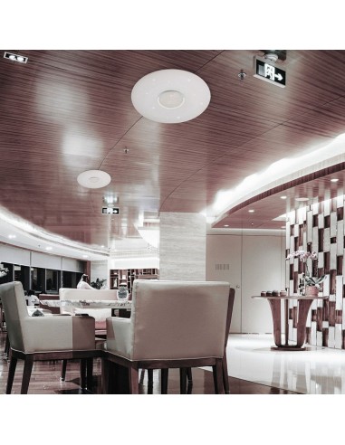 2114911-Plafoniera LED Rotonda  con Telecomando Cambia Colore  in  Effetto Stellato d mm h mm Dimmerabile-5