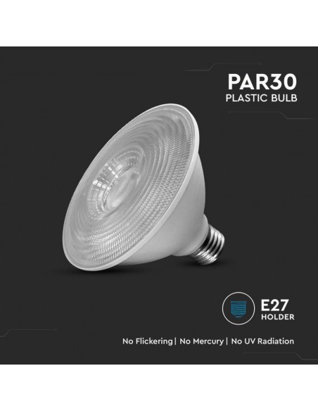 Lampadina LED Chip Samsung E27 11W PAR30 6400K