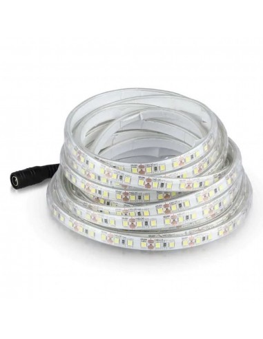 Strip LED SMD 8W/m 5m 120 LED/m 12V...
