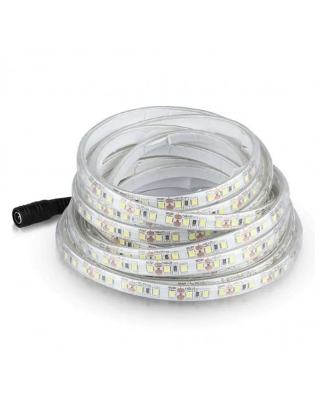 Strip LED SMD 8W/m 5m 120 LED/m 12V 4000K IP65 9mm