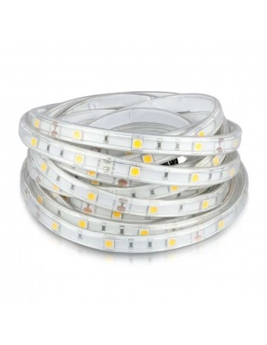 212118-Strip LED SMD /m m  LED/m RGB V  mm-7