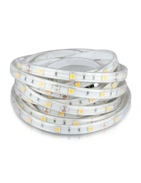 212118-Strip LED SMD /m m  LED/m RGB V  mm-7