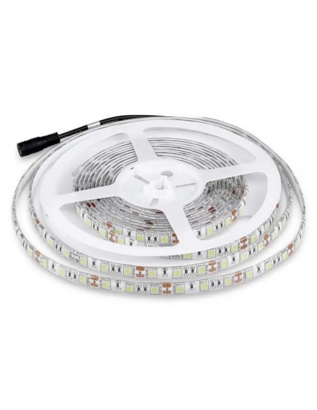 212155-Strip LED SMD /m m  LED/m V RGB  mm-4