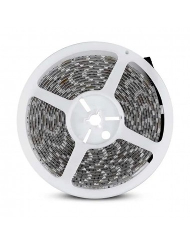 212155-Strip LED SMD /m m  LED/m V RGB  mm-5