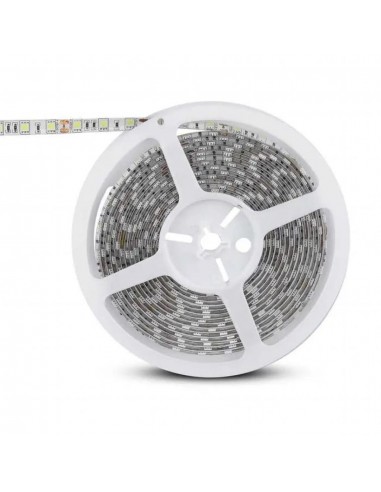212155-Strip LED SMD /m m  LED/m V RGB  mm-6