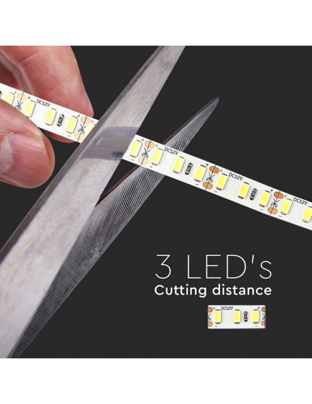 212162-Strip LED SMD /m m  LED/m Lm/m V  IP CRI  mm-6