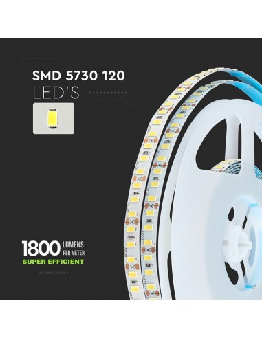 212162-Strip LED SMD /m m  LED/m Lm/m V  IP CRI  mm-7