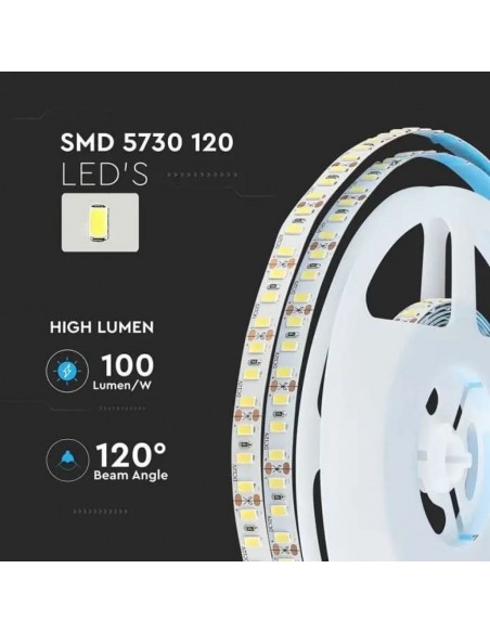 212163-Strip LED SMD /m m  LED/m Lm/m V  IP CRI -6