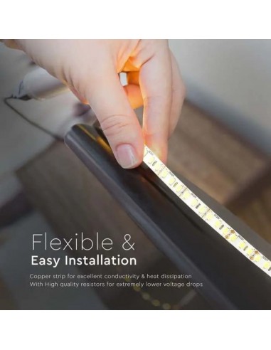 212163-Strip LED SMD /m m  LED/m Lm/m V  IP CRI -7