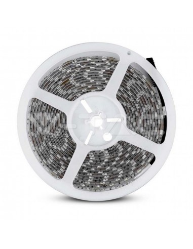 212354-Kit Strip LED SMD /m  LED/m RGB  -3