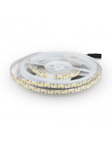 212462-Strip LED SMD /m m  LED/m V  IP mm-4