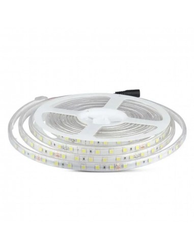 212562-Strip LED SMD /m m  LED/m V   mm-5