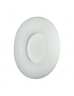 213969-Plafoniera LED Circolare  con Telecomando Cambio Colore  in  Corpo Bianco  Dimmerabile-1