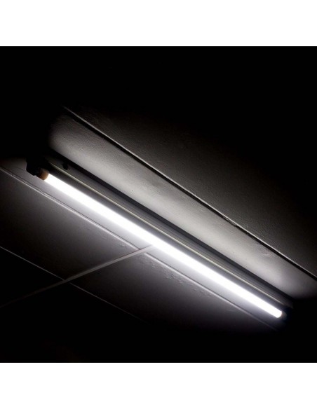 216318-Tubo LED T  LM/W G cm -4