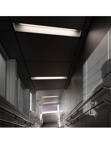 216319-Tubo LED T  LM/W G cm -3