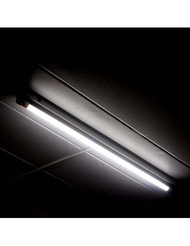 216319-Tubo LED T  LM/W G cm -4