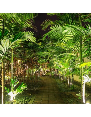 217547-Faretto LED da Giardino  con Picchetto Colore Bianco  -3