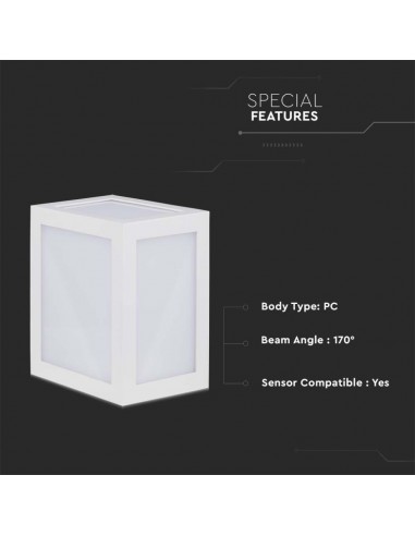 218334-Lampada LED da Muro a Lanterna  Quadrata Colore Bianco  -7