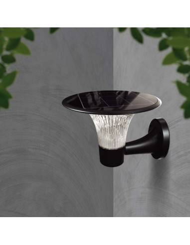 23004-Lampada LED  da Muro con Pannello Solare e Batteria LiFePO V  Sensore di Movimento Colore Nero CCT  -5